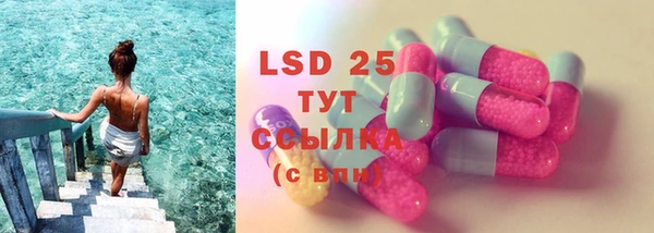 стаф Медвежьегорск