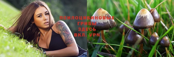 mdpv Мегион