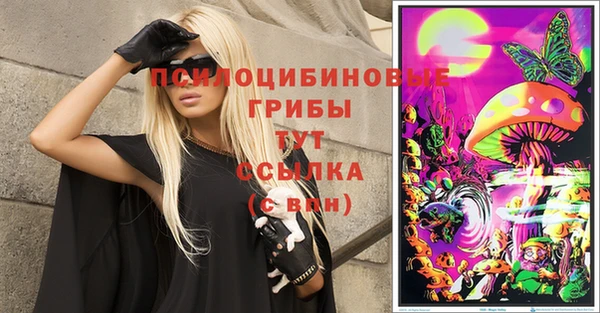 mdpv Мегион
