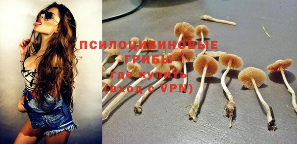 стафф Медногорск