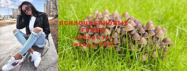 стаф Медвежьегорск