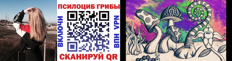 купить   Шлиссельбург  shop состав  Псилоцибиновые грибы прущие грибы 